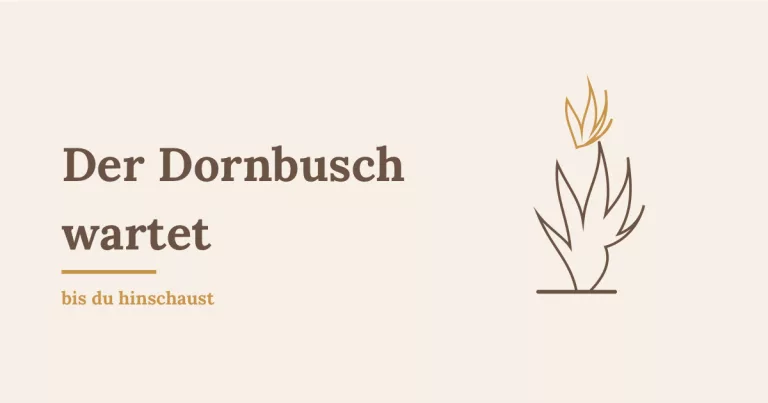 Der brennende Dornbusch: stilisierte Illustration eines Busches mit Flamme - Heiko Metz