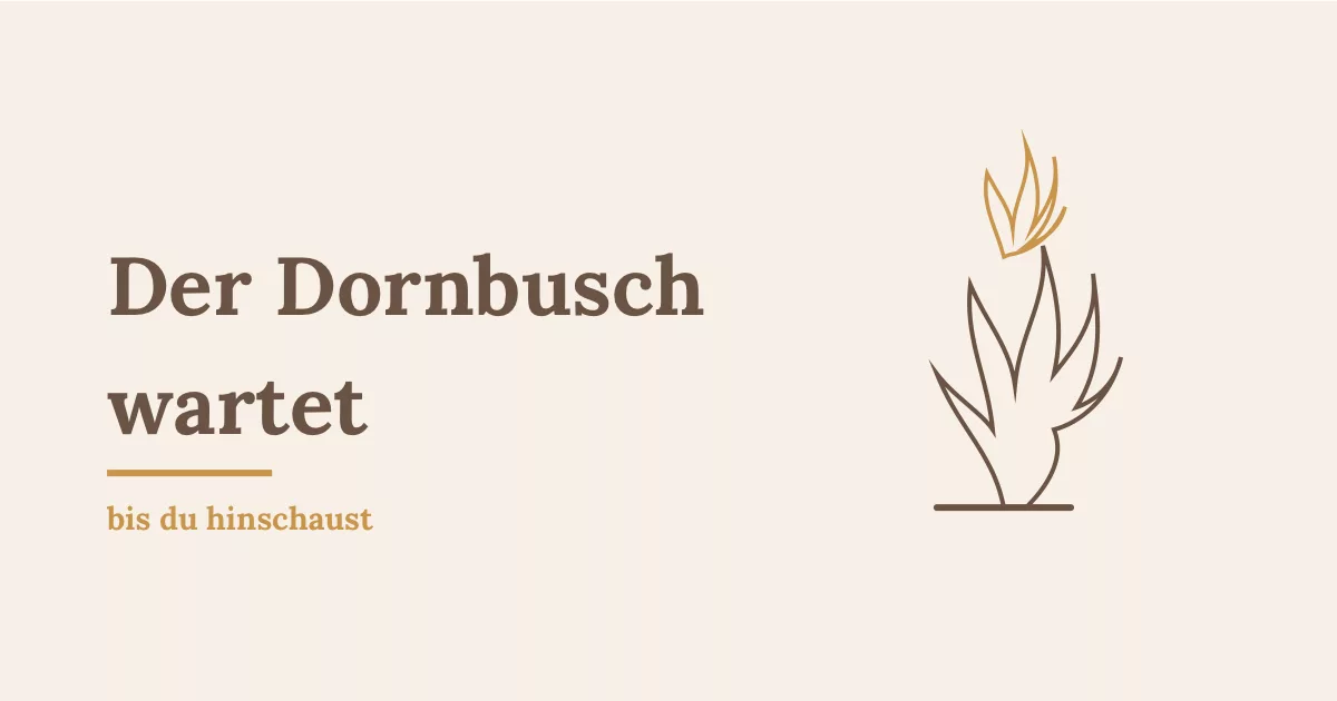 Der brennende Dornbusch: stilisierte Illustration eines Busches mit Flamme - Heiko Metz