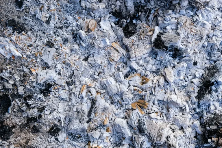 Asche und verkohltes Holz