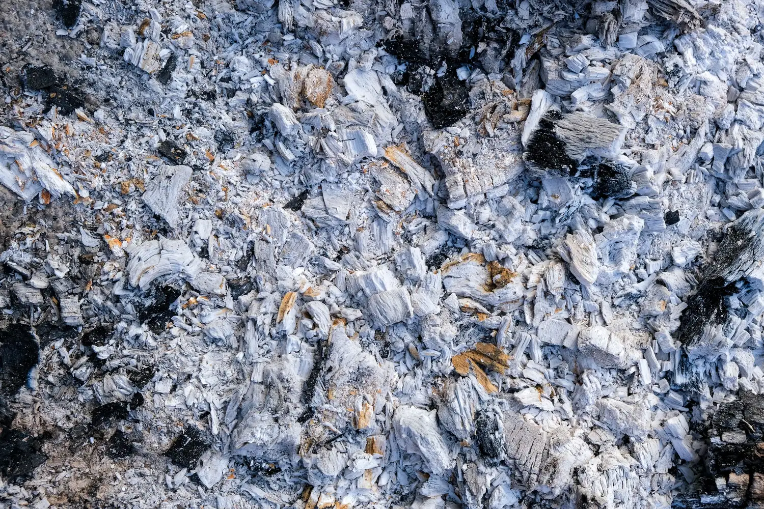 Asche und verkohltes Holz