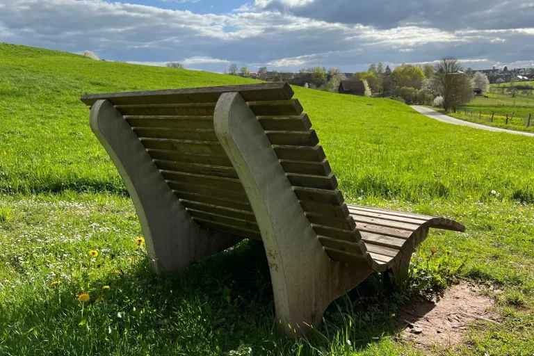 Holzliege auf einer grünen Wiese - Heiko Metz
