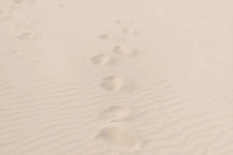 Fußspuren im hellen Sand