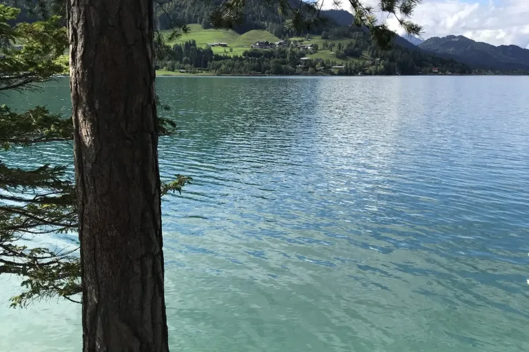 Baumstamm am Ufer eines klaren Bergsees - Heiko Metz
