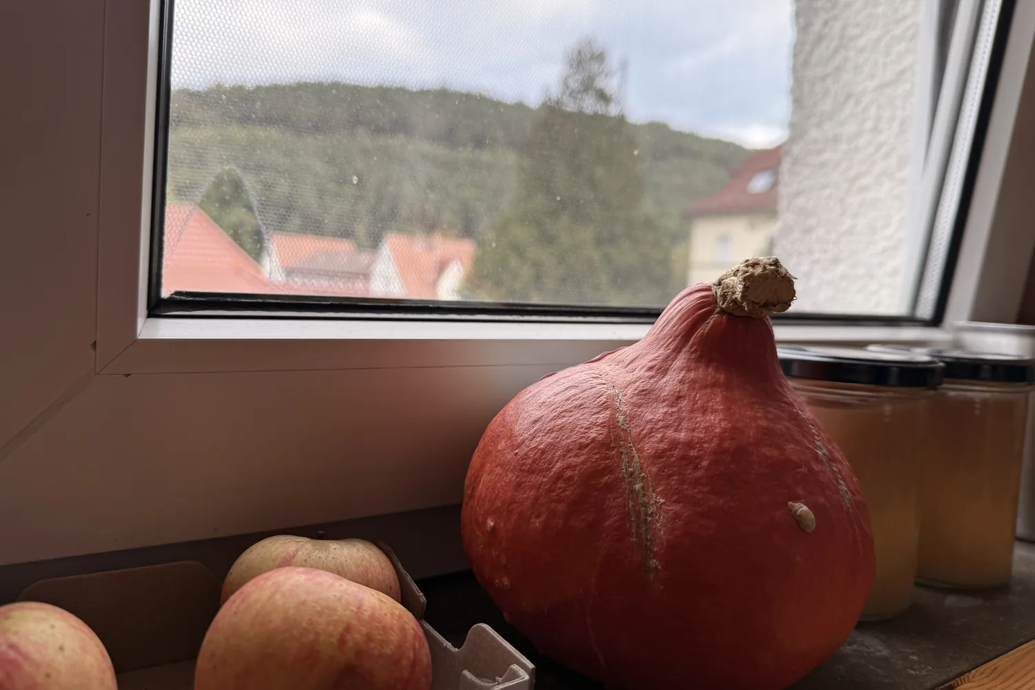 Kürbis und Äpfel auf der Fensterbank, draußen bewaldete Hügel - Heiko Metz