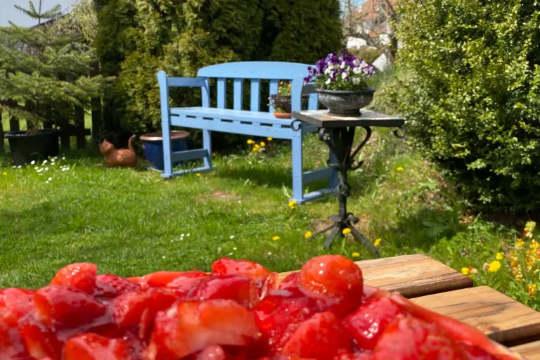 Erdbeerkuchen im Garten, dahinter eine blaue Bank - Heiko Metz