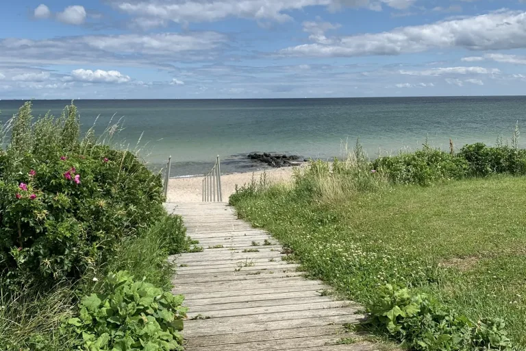 Holzsteg zwischen Dünengras zum Strand - Heiko Metz