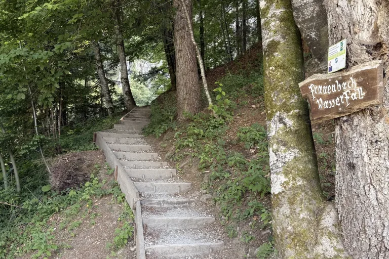 Holztreppe führt durch einen Wald bergauf - Heiko Metz