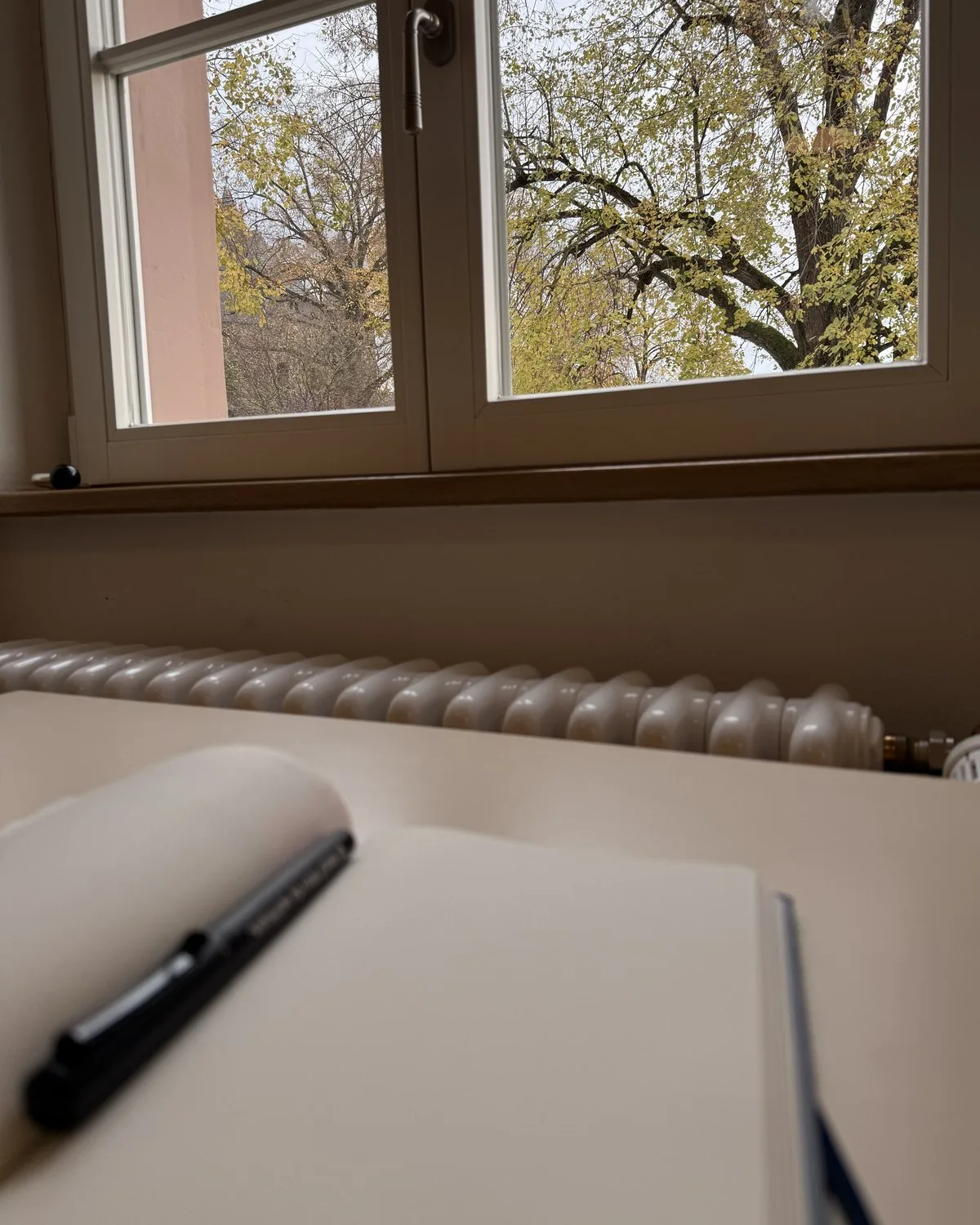 Aufgeschlagenes Notizbuch mit Stift auf einem Schreibtisch am Fenster, draußen ein Baum im Herbst - Heiko Metz