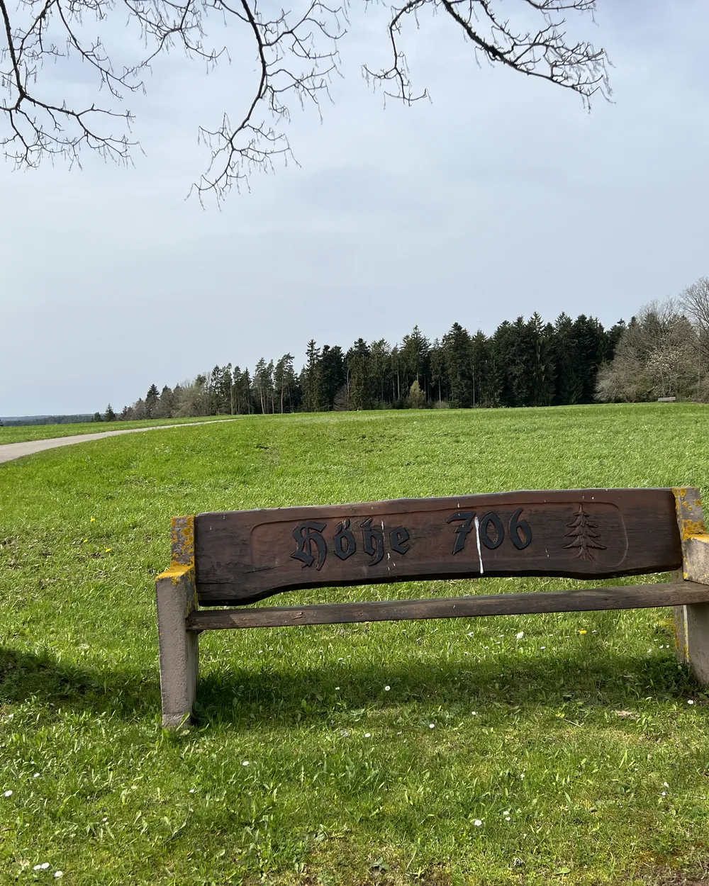 Holzbank unter einem Baum am Feldrand - Heiko Metz